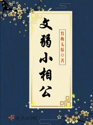 文弱小相公